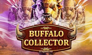 Buffalo Collector 87a